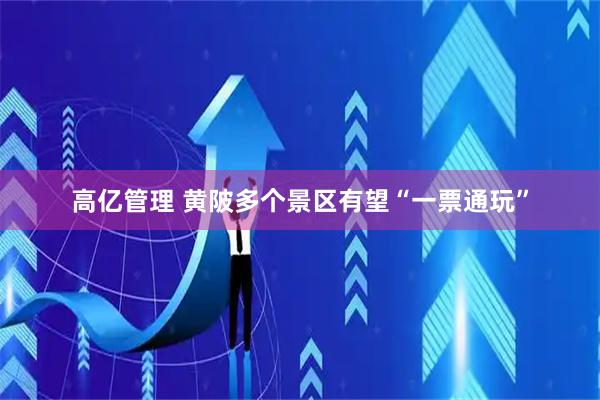 高亿管理 黄陂多个景区有望“一票通玩”