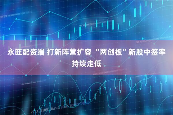 永旺配资端 打新阵营扩容 “两创板”新股中签率持续走低